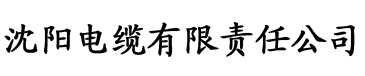 亚洲熟妇aⅴ一区二区三区电缆厂logo